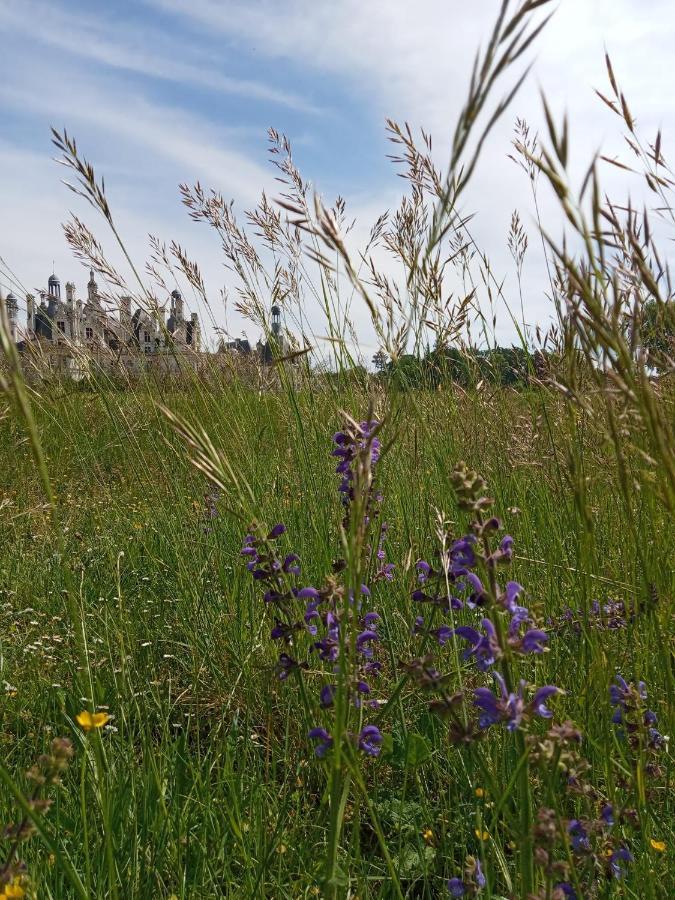 La Robiniere Maison D'Hotes Mont-près-Chambord Zewnętrze zdjęcie