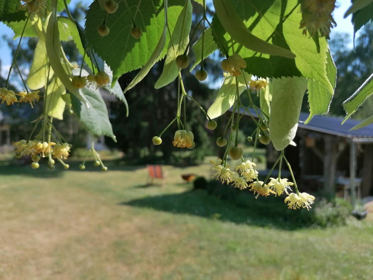 La Robiniere Maison D'Hotes Mont-près-Chambord Zewnętrze zdjęcie